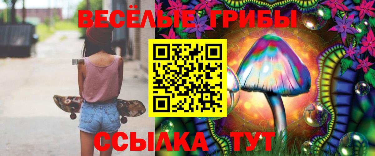 Волжск  Галлюциногенные грибы Cubensis  Галлюциногенные грибы ЛСД  Вход с VPN 